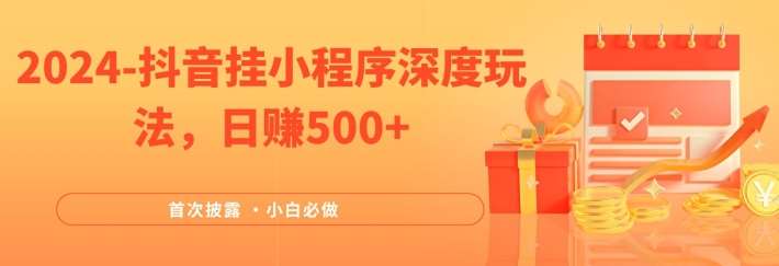 2024全网首次披露，抖音挂小程序深度玩法，日赚500+，简单、稳定，带渠道收入，小白必做【揭秘】-靠谱项目库