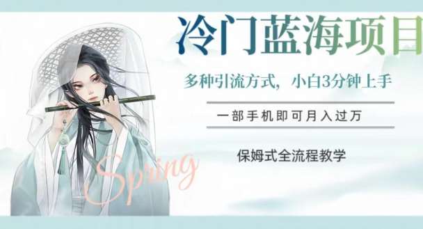 冷门蓝海项目，操作简单，小白3分钟上手，多种引流方式，保姆式全流程教学【揭秘】-靠谱项目库