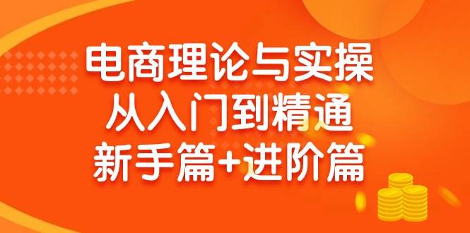 （9576期）电商理论与实操从入门到精通 新手篇+进阶篇-靠谱项目库