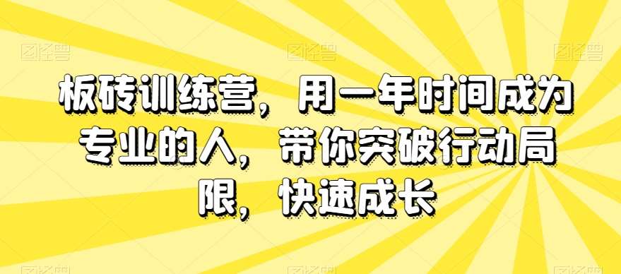 板砖训练营，用一年时间成为专业的人，带你突破行动局限，快速成长-靠谱项目库