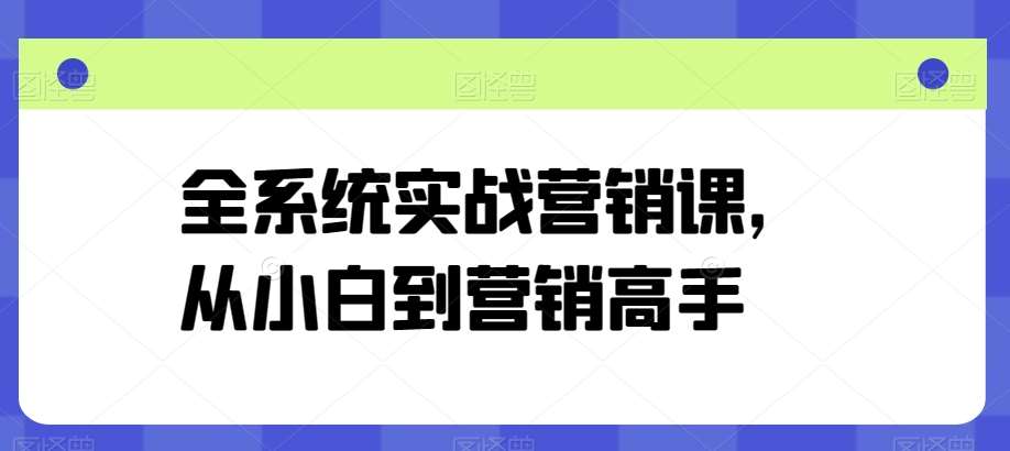 全系统实战营销课，从小白到营销高手-靠谱项目库