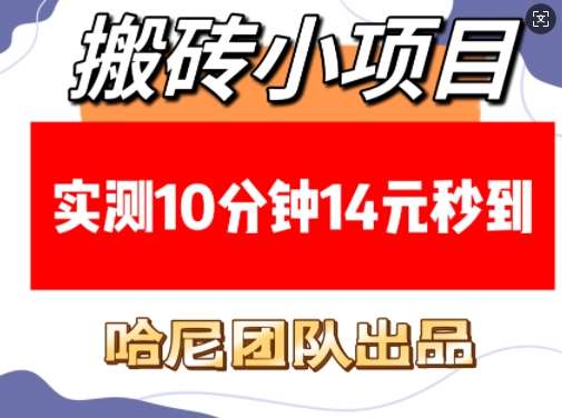 搬砖小项目，实测10分钟14元秒到，每天稳定几张(赠送必看稳定)-靠谱项目库