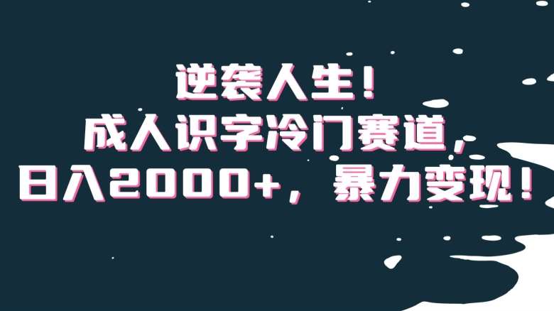 逆袭人生!成人识字冷门赛道,日入2000+,暴力变现!【揭秘】-靠谱项目库