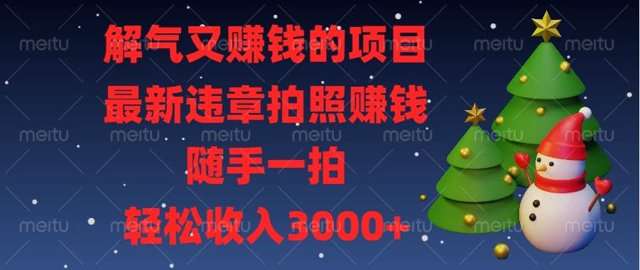 (13804期)解气又赚钱的项目,最新违章拍照赚钱,随手一拍,轻松收入3000+-靠谱项目库