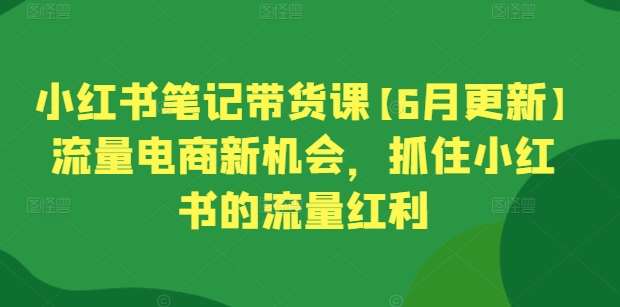 小红书笔记带货课【6月更新】流量电商新机会，抓住小红书的流量红利-靠谱项目库