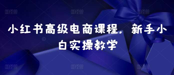 小红书高级电商课程,新手小白实操教学-靠谱项目库