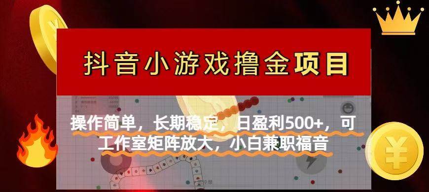 （14290期）【抖音小游戏发行人计划项目】操作简单，长期稳定，日盈利500+，可工作…-靠谱项目库