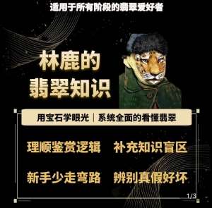 林鹿的翡翠知识，​用宝石眼光，系统全面的看懂翡翠-靠谱项目库