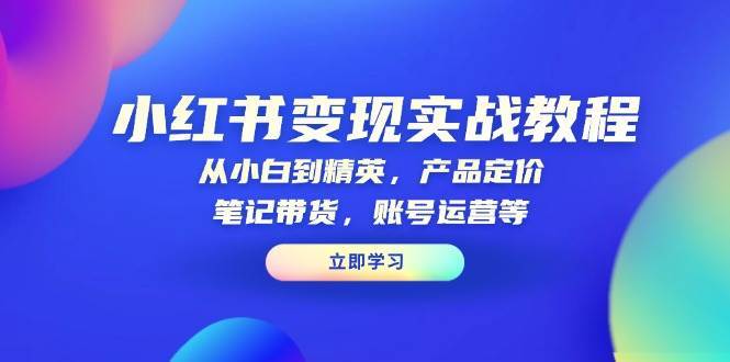 小红书变现实战教程：从小白到精英，产品定价，笔记带货，账号运营等-靠谱项目库
