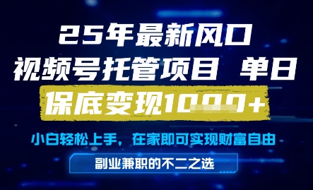 25年最新风口，视频号托管项目，单日保底变现1k+，手把手教学【揭秘】-靠谱项目库