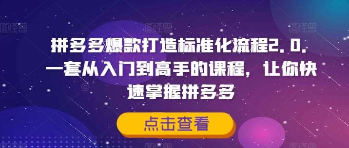 拼多多爆款打造标准化流程2.0,一套从入门到高手的课程,让你快速掌握拼多多-靠谱项目库