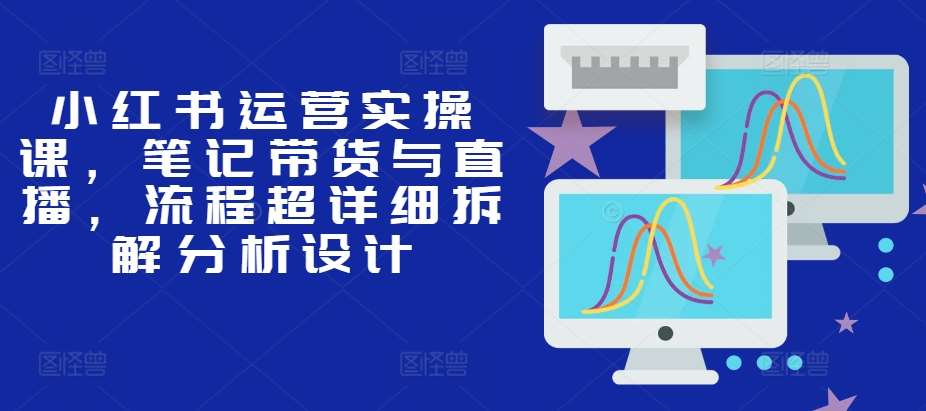 小红书运营实操课，笔记带货与直播，流程超详细拆解分析设计-靠谱项目库