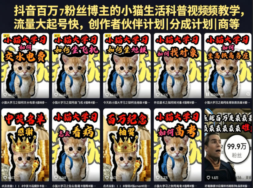 抖音百万粉丝博主的小猫生活科普视频教学，流量大起号快，创作者伙伴计划|分成计划|商单|收徒等-靠谱项目库