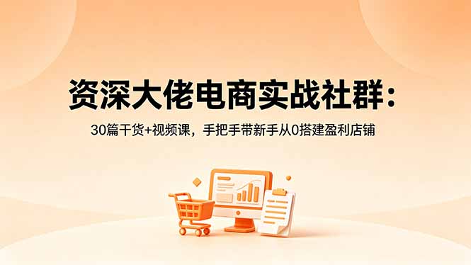 （18529期）资深大佬电商实战社群：30篇干货+视频课，手把手带新手从0搭建盈利店铺-靠谱项目库