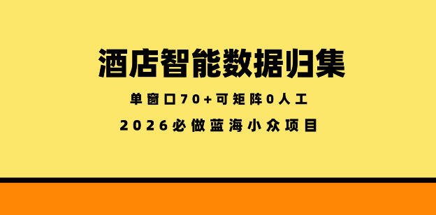 酒店智能数据归集，小众蓝海已经稳定半年之久，单窗口70+零成本矩阵开干【揭秘】-靠谱项目库