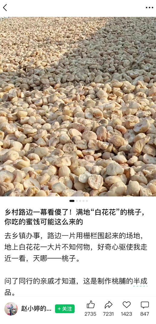 图片[2]-公众号小绿书贴图项目，赚收益实操玩法，听话照听话照少走90%弯路丨副业可做-靠谱项目库