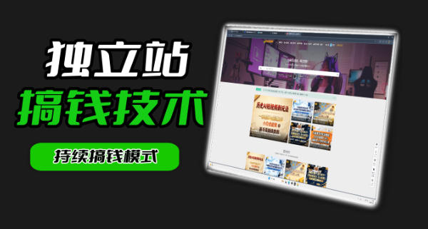 干货来袭!麦子甜带你吃透独立站|从搭建到引流一站式教学《独立站》第一期-靠谱项目库