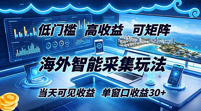 （18955期）海外智能采集玩法，低门槛高单价可矩阵，当天可见收益，单窗口30+-靠谱项目库