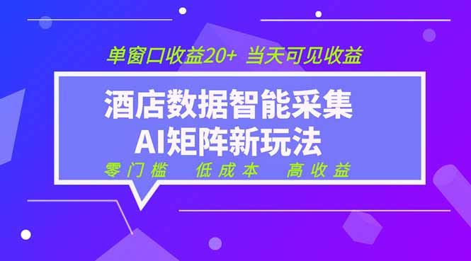 （19041期）2026酒店数据采集ai智能矩阵新风口  低成本   高收益   当天见收益   单窗口20+-靠谱项目库