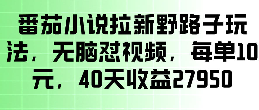番茄小说拉新野路子玩法，无脑怼视频，玩法简单、见效快，每单10米，40天收益27950-靠谱项目库