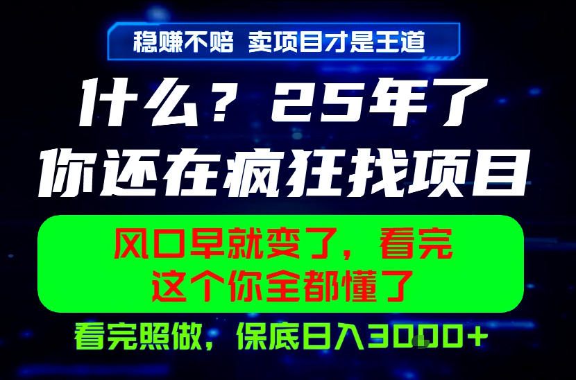 26年，请不要疯狂的找项目做了！卖项目才是真的稳賺不赔，看完照做，保底日入1k+【揭秘】-靠谱项目库