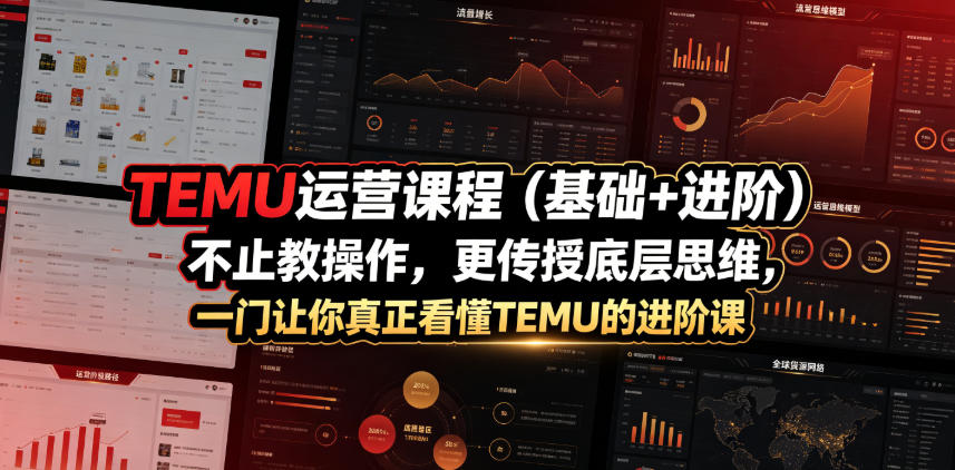 TEMU运营课程（基础+进阶），不止教操作，更传授底层思维，一门让你真正看懂TEMU的进阶课-靠谱项目库