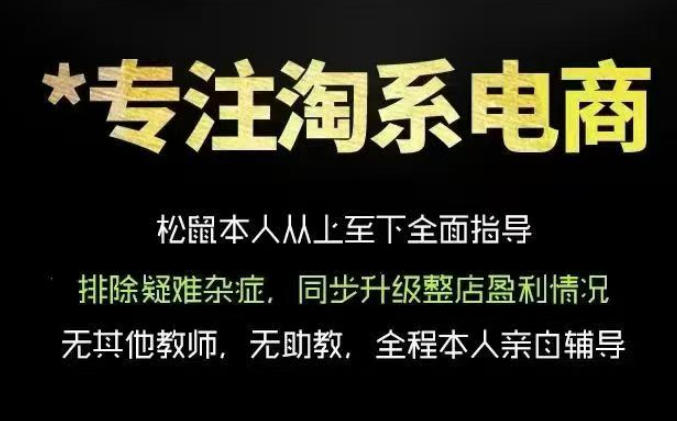 松鼠会电商VIP课程,从基础布局到高阶优化,助你掌握淘宝运营逻辑,提升店铺流量与转化-靠谱项目库