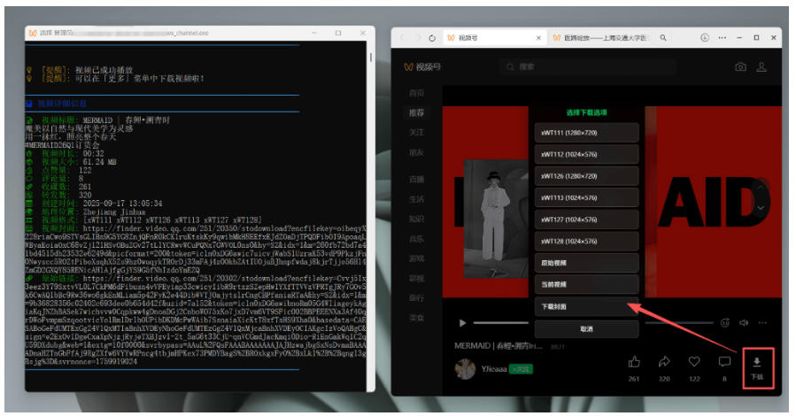 图片[4]-Github热门工具，视频号下载神器又来了！一键注入下载按钮，轻松下载，使用便捷wx_channel-靠谱项目库