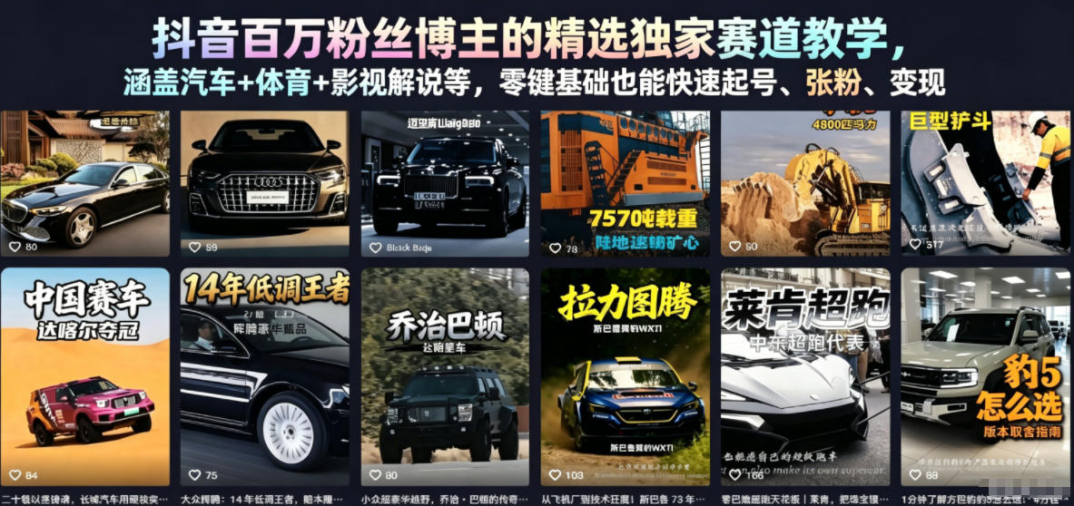 抖音百万粉丝博主的精选独家赛道教学，涵盖汽车+体育+影视解说等，零基础也能快速起号、涨粉、变现（更新0701）-靠谱项目库