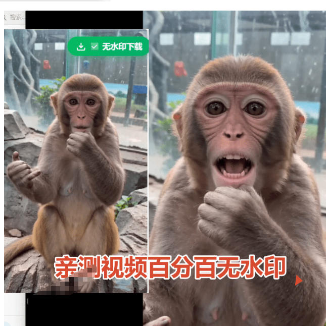 图片[2]-豆包无水印下载终于来了！支持豆包图片/视频，目前唯一免费使用的插件，浏览器拓展-靠谱项目库