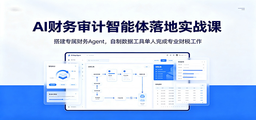 AI财务审计智能体落地实战课：搭建专属财务Agent，自制数据工具单人完成专业财税工作-靠谱项目库